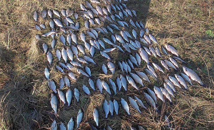 В Чериковском районе на рыбаков-нелегалов завели уголовное дело