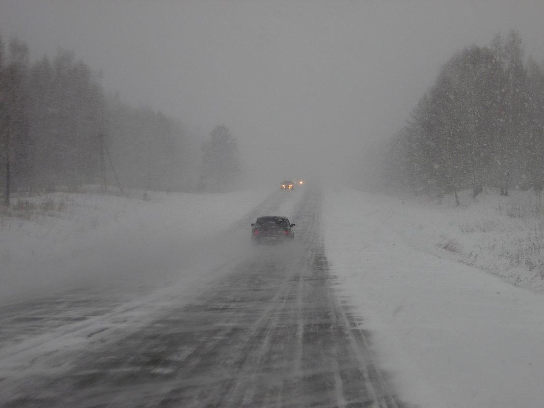 Водителей и пешеходов просят быть внимательными на дороге во время снегопада