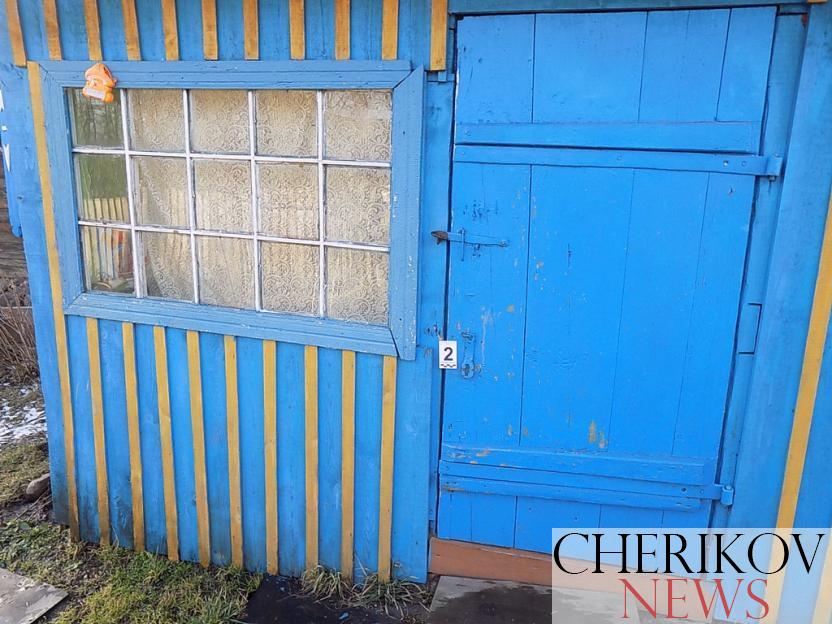 Три серии дачных краж раскрыли в Могилевской области с начала года