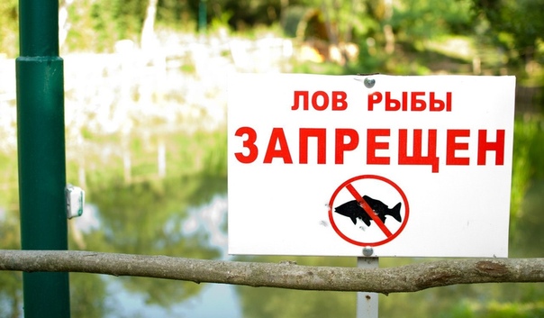 Мстиславская межрайонная инспекция охраны животного и растительного мира информирует