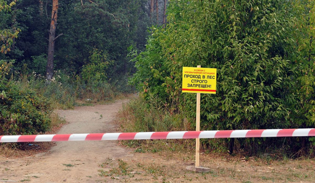 Запрет на посещение лесов продолжает действовать в 5 районах Могилевской области