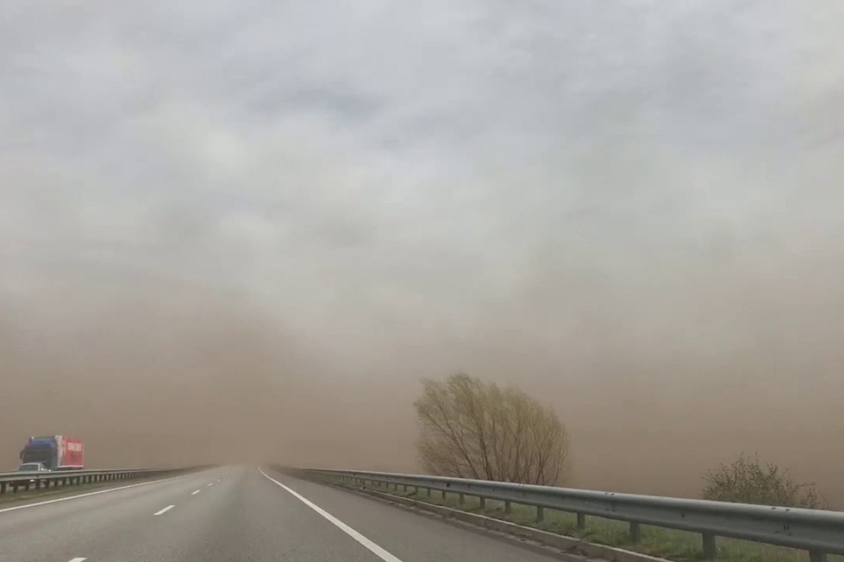 В Минприроды рассказали о причинах появления в Беларуси песчаных бурь и дюн
