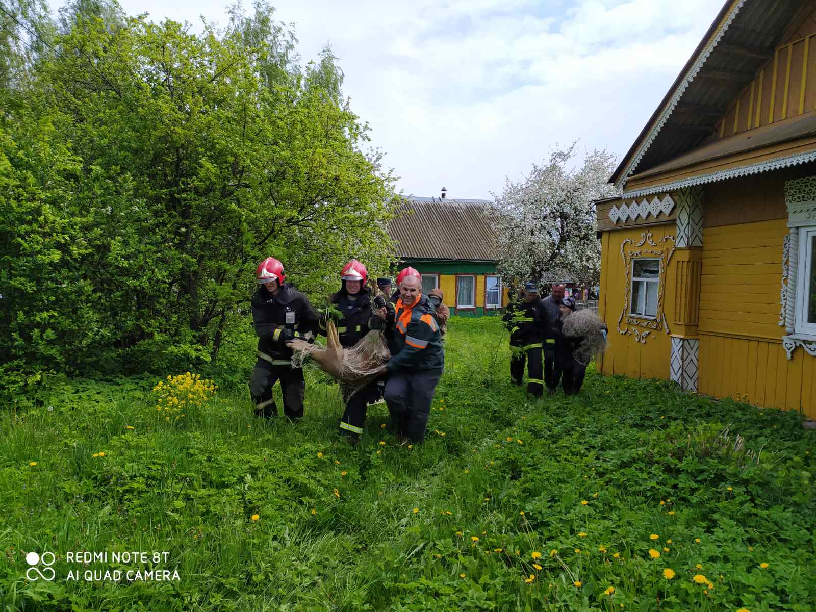 В Черикове спасли молодую косулю