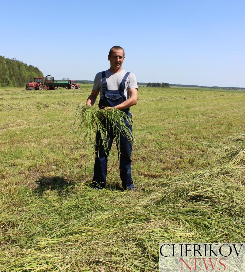Аграрыі раёна прыступілі да нарыхтоўкі сенажа