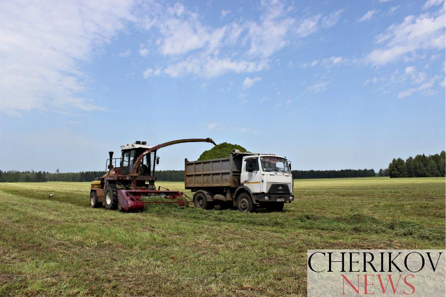 Пять областей Беларуси завершили первый укос трав