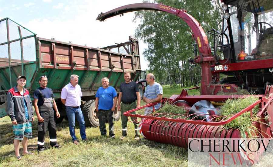 Кормозаготовка в районе набирает обороты