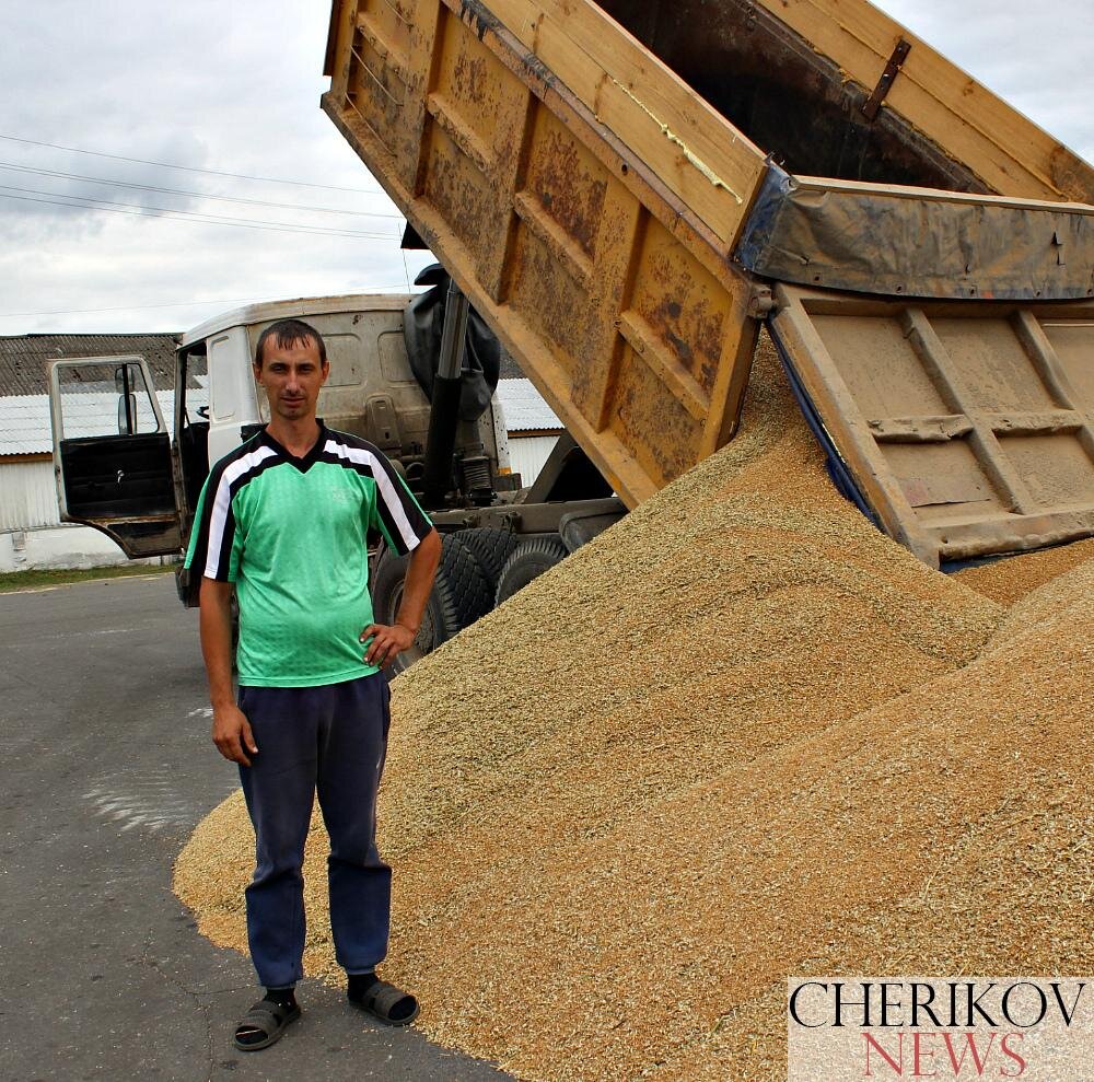 Уборочная страда в районе набирает обороты