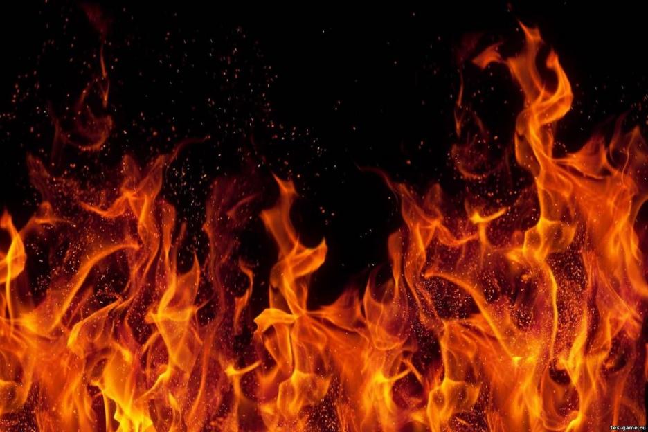 С начала года в Могилевской области на пожарах погибли 56 человек