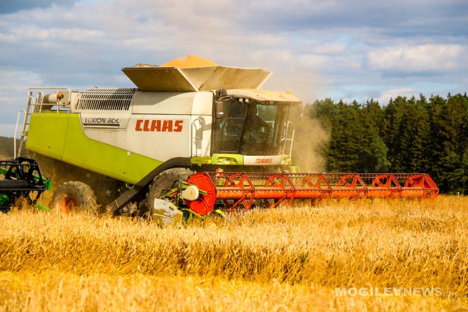 В Могилевской области осталось убрать менее 5% площадей зерновых и зернобобовых культур