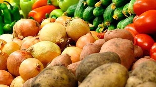 В стабфонд Могилевской области планируют заложить 3,7 тыс. т картофеля и более 1,8 тыс. т капусты