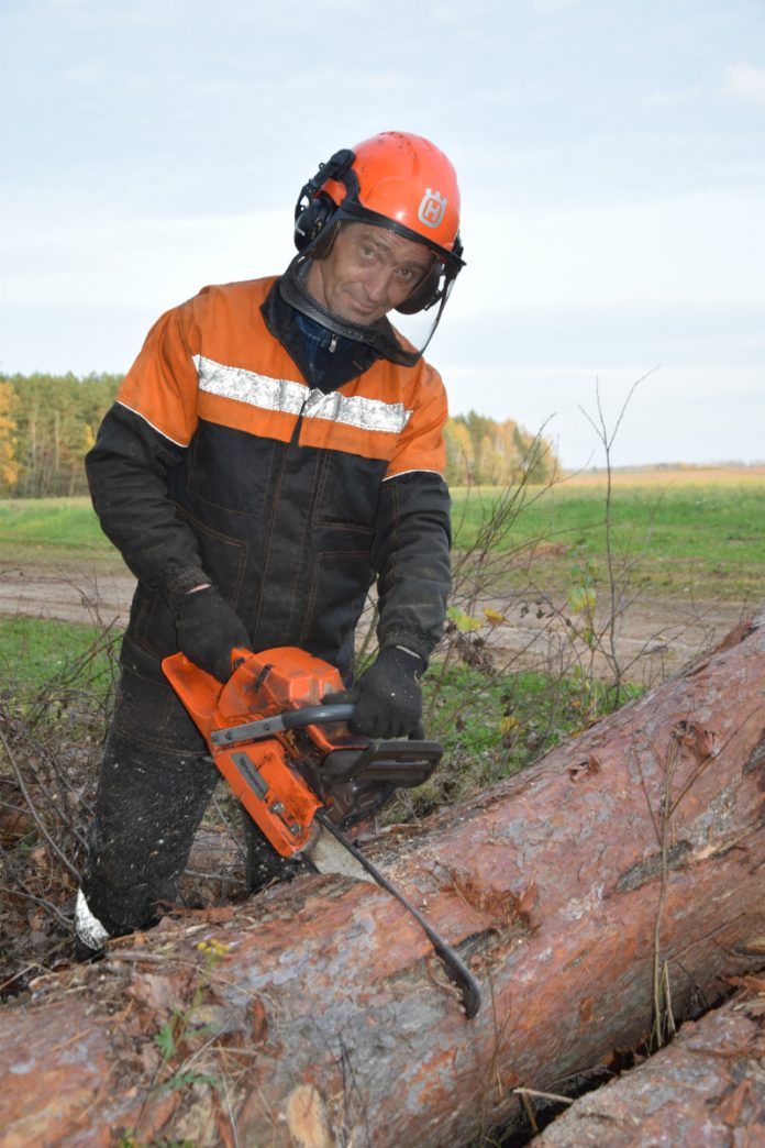 О нелегкой профессии вальщика леса | Новости Черикова