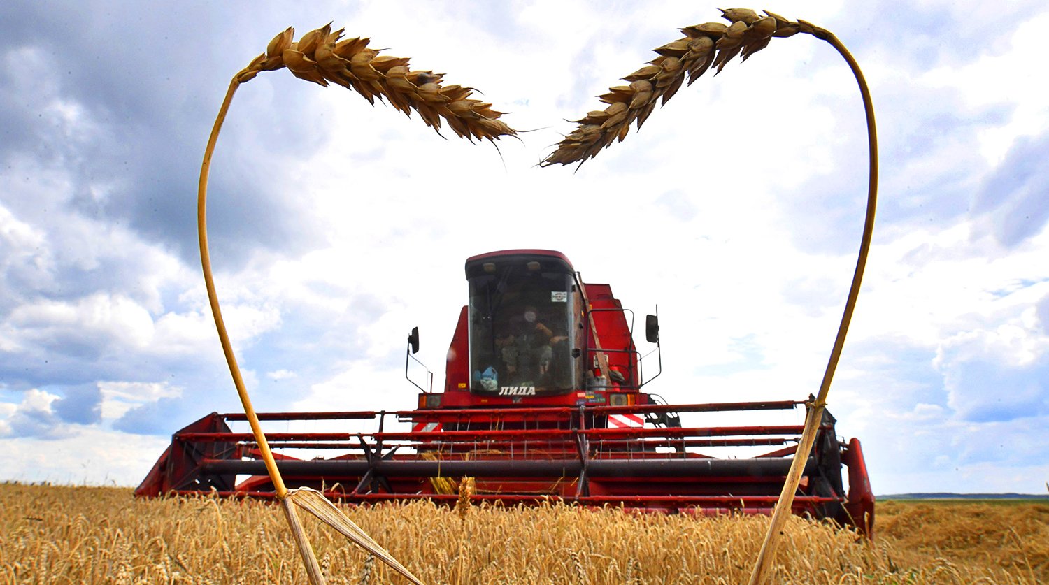 Агрокомплекс Могилевской области на треть увеличил производство продукции, а четыре района почти удвоили сбор зерна