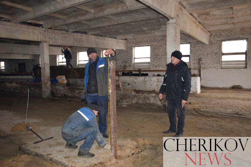 Реконструкция на МТФ позволит улучшить условия содержания животных