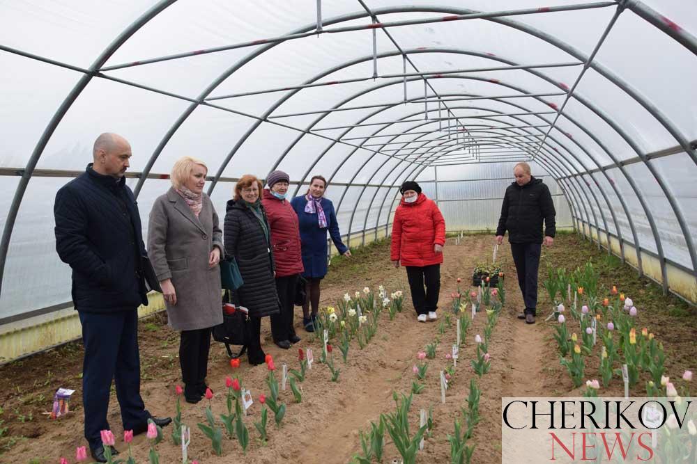 День Совета: активы подвели итог работы