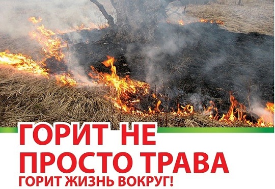 Мстиславская  межрайонная инспекция напоминает: выжигание сухой растительности запрещено!