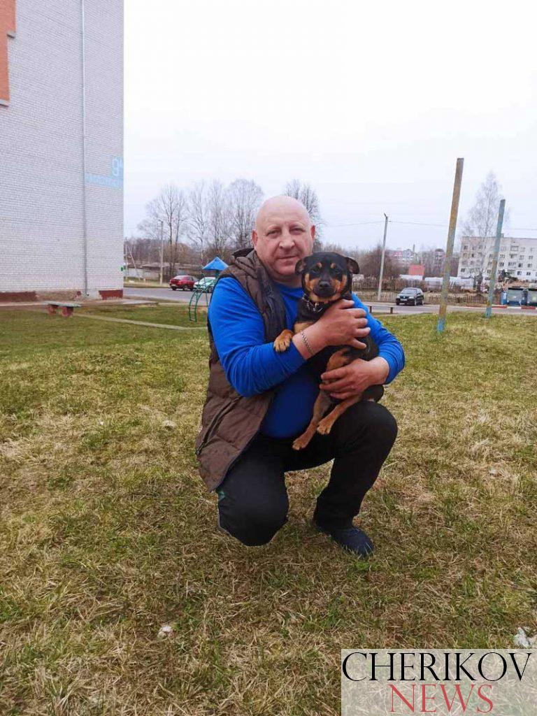 Что грозит тем, кто игнорирует правила содержания домашних животных?