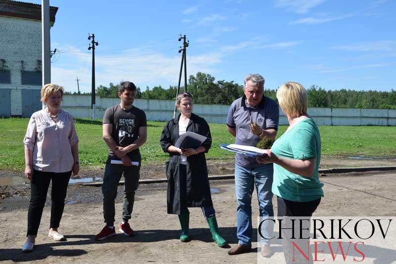 На базе МТК «Латыщино» ОАО «Чериковрайагропромтехснаб» прошел районный семинар