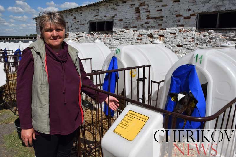 Ирина Идоленко: «Возросли удои и показатель реализации молока государству, но есть еще рубежи, к которым коллектив будет стремиться».