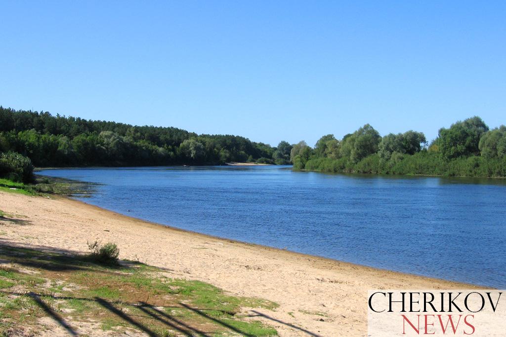 Готовы ли пляжи и места отдыха Чериковского района принять отдыхающих?