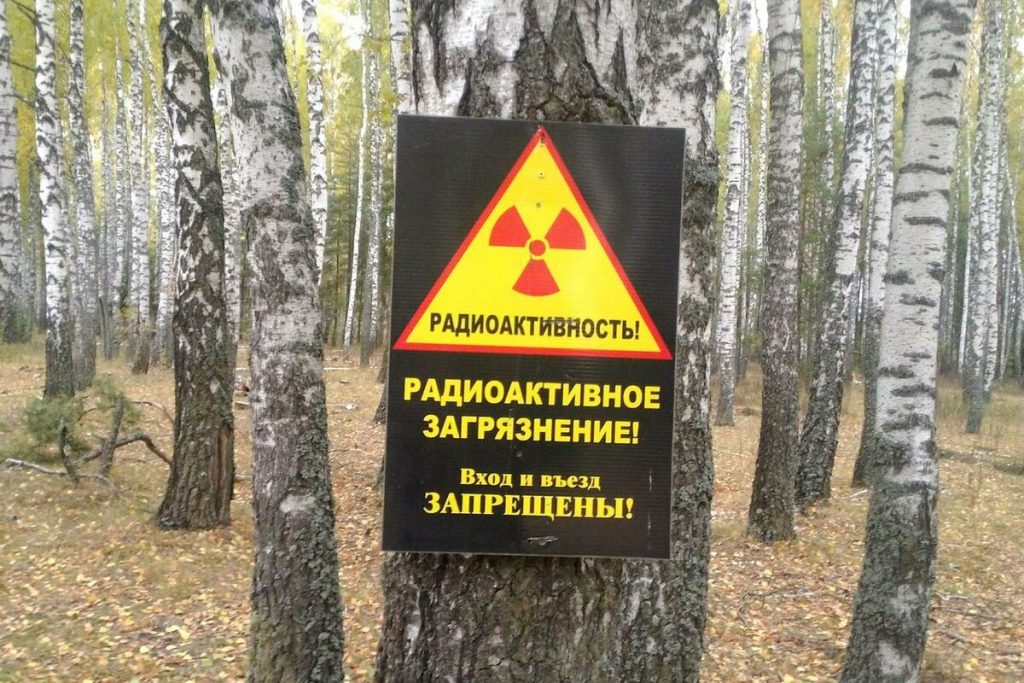 Напоминаем гражданам о мерах безопасности при сборе грибов и ягод