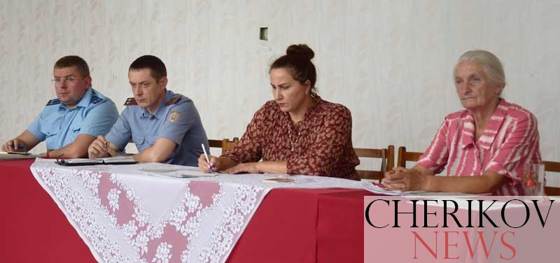 Заседание СОПОП прошло в агрогородке Веремейки