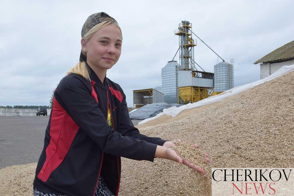 Студотрядовское движение на Чериковщине набирает обороты