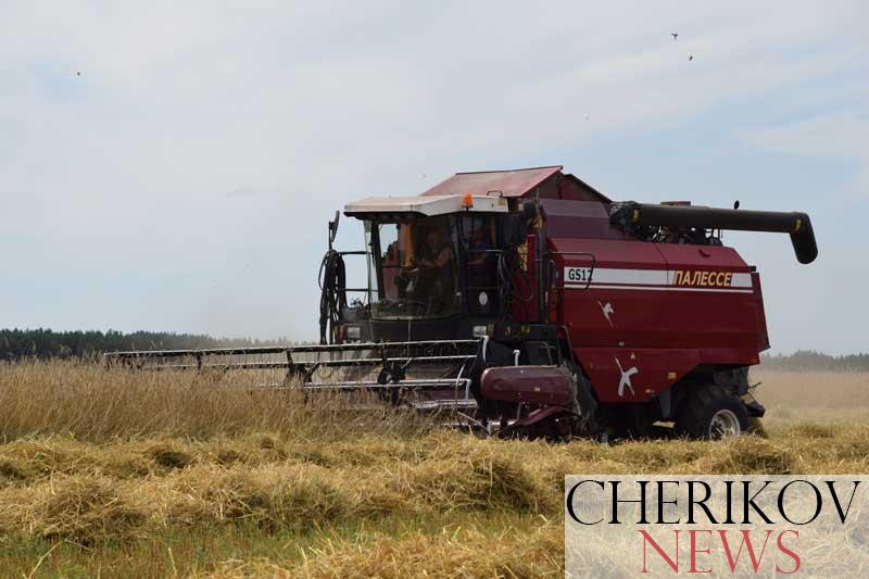 Сегодня впереди (по данным РК профсоюза работников АПК на 3 августа)