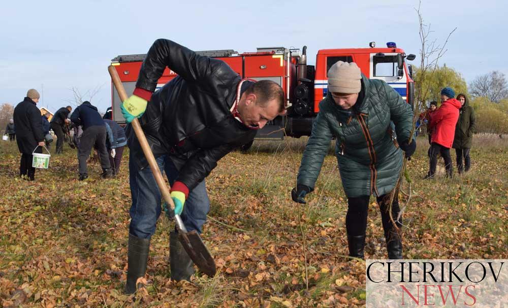 В рамках объявленного областного субботника в районе предстояло реализовать 112 намеченных дел