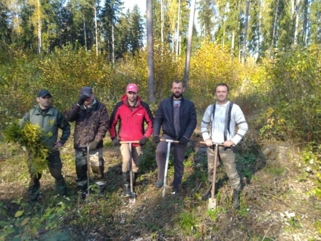 Подведены итоги республиканской акции «Чистый лес», которая проходила  на территории ГЛХУ «Чериковский лесхоз»