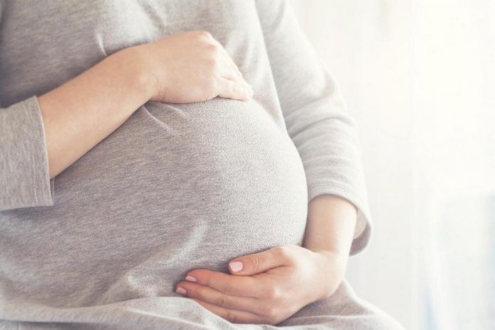 pregnant-geb500aa31_1280