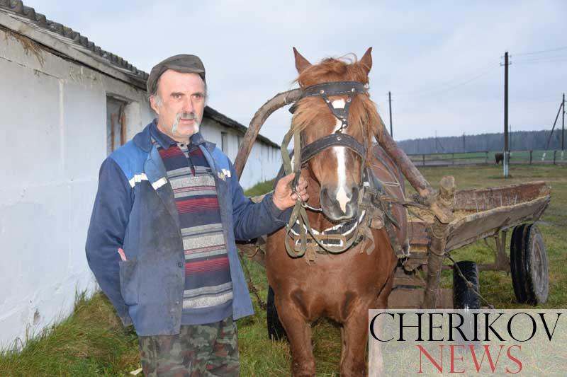 За его плечами 41 год труда, отданного животноводческой отрасли