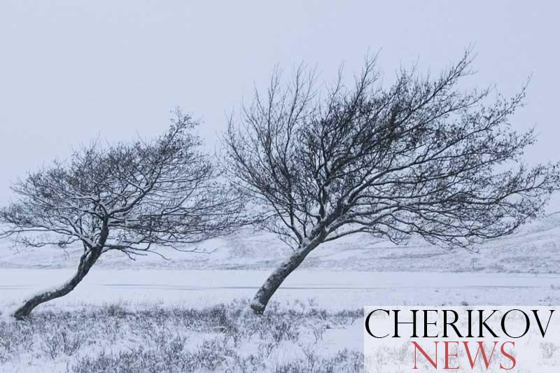 От сильного ветра 14 января в Чериковском районе от энергоснабжения было отключено 36 населенных пунктов