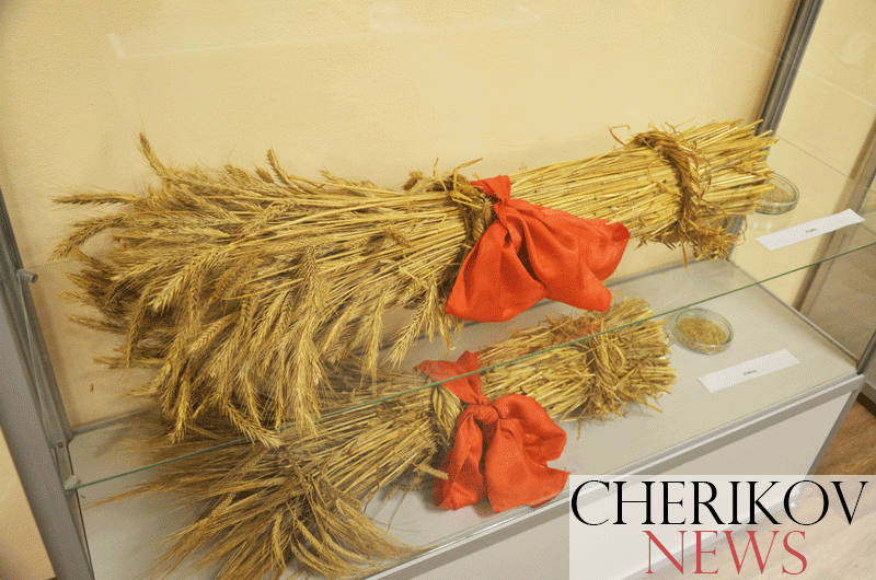 В день референдума голосующие смогут посетить школьные музеи учреждений образования Чериковщины