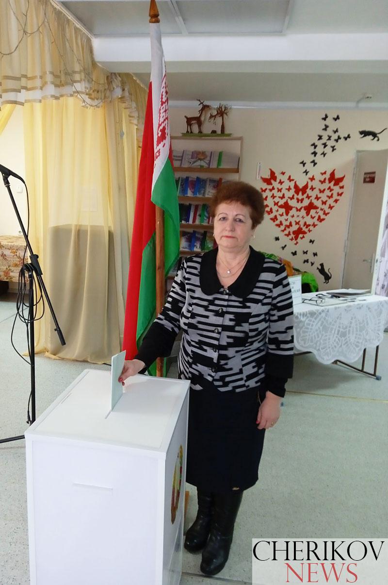 Депутаты Чериковщины досрочно голосуют на конституционном рефендуме
