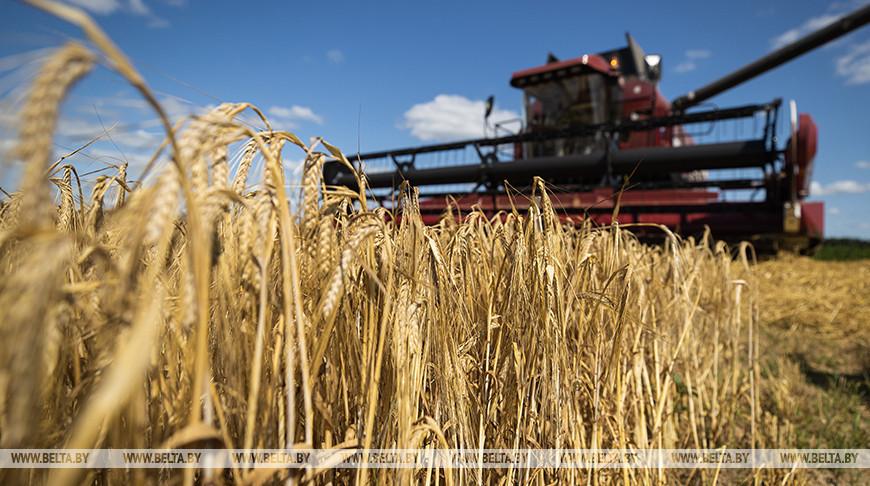 Александр Лукашенко поставил задачу произвести в этом году 9 млн тонн зерна
