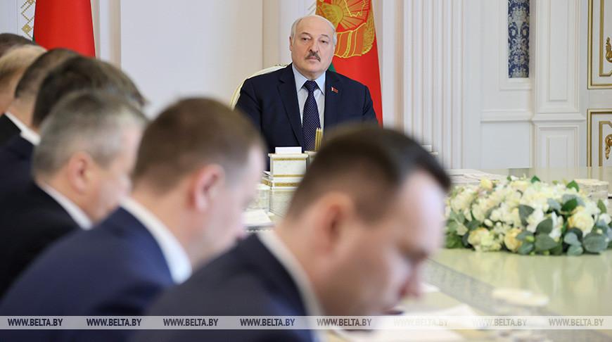 За сахар идет “война”. Александр Лукашенко поручил вырастить в Беларуси 5 млн тонн сахарной свеклы