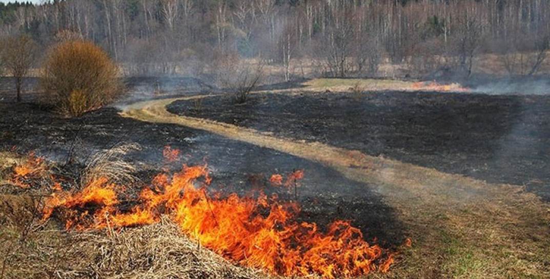 12 раз за сутки спасатели Могилевской области выезжали на тушение сухой растительности