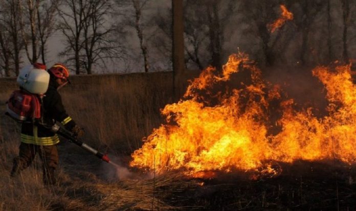 О предупреждении пожаров в отселенной зоне Чериковского района