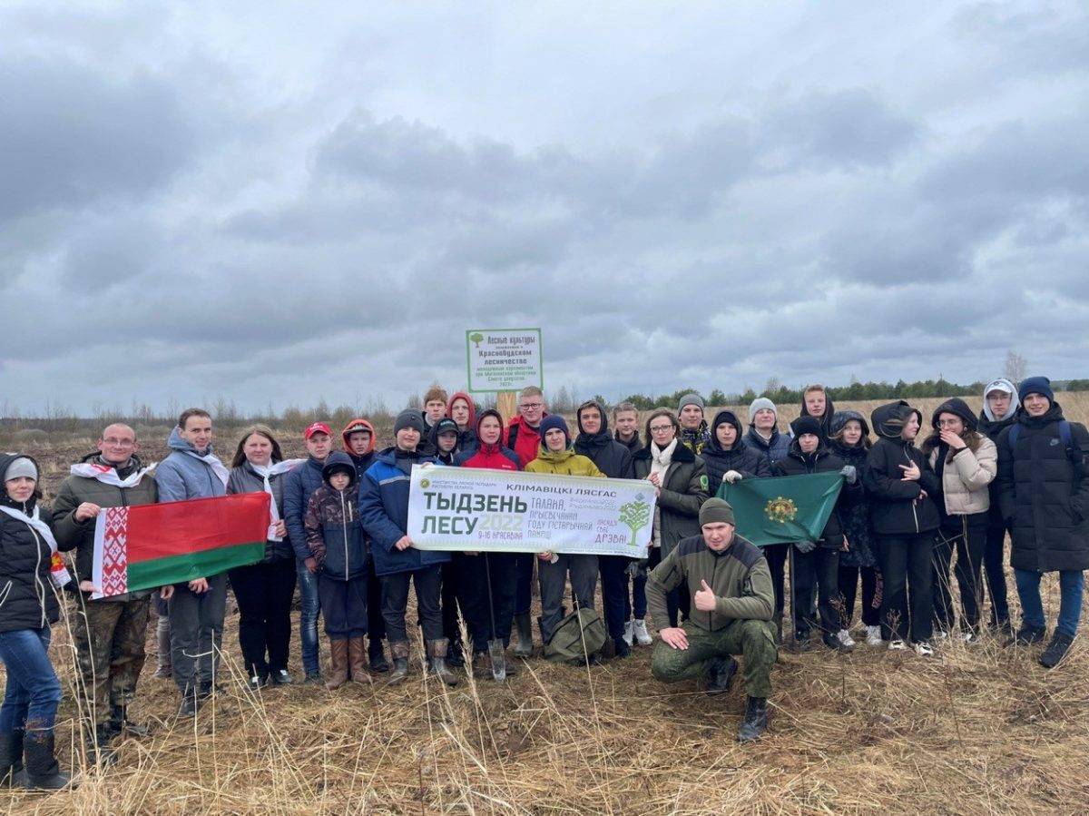 Более 1000 сосновых саженцев посадила молодежь Могилевщины в Кричевском районе
