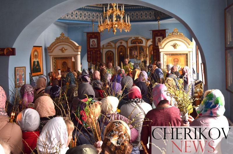 Православные верующие празднуют Вербное воскресенье: служба прошла и в храме города Черикова