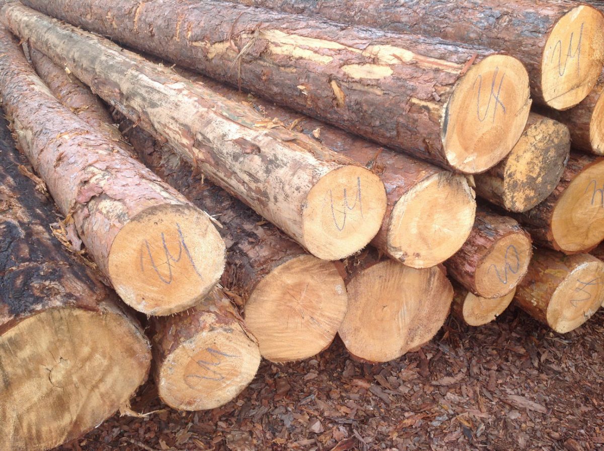 В Японии цены на древесину бьют рекорды