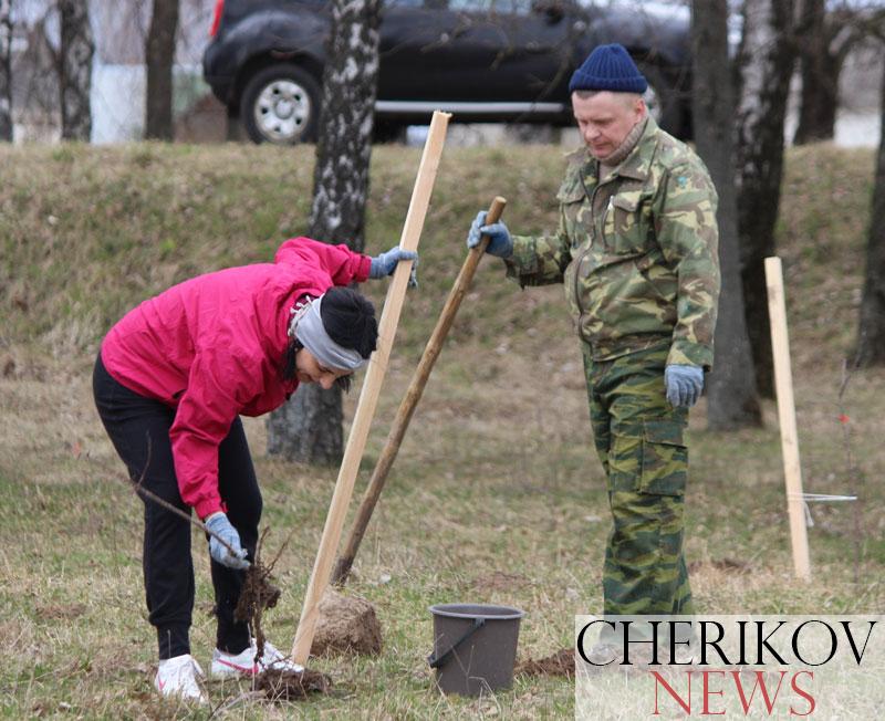 200 саженцев яблонь и груш высадили сегодня в Черикове.  Кто принимал участие в озеленении города, смотрите в нашем фоторепортаже