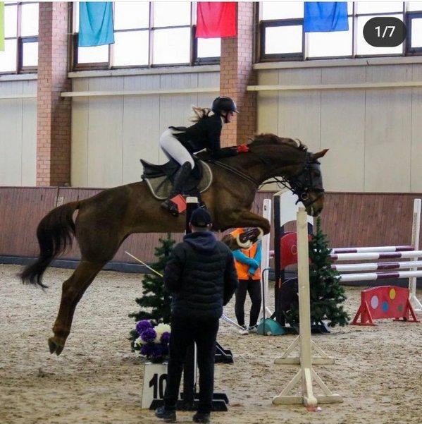 Команда Могилевской области заняла второе место на ОДМ Беларуси по конному спорту (преодоление препятствий)