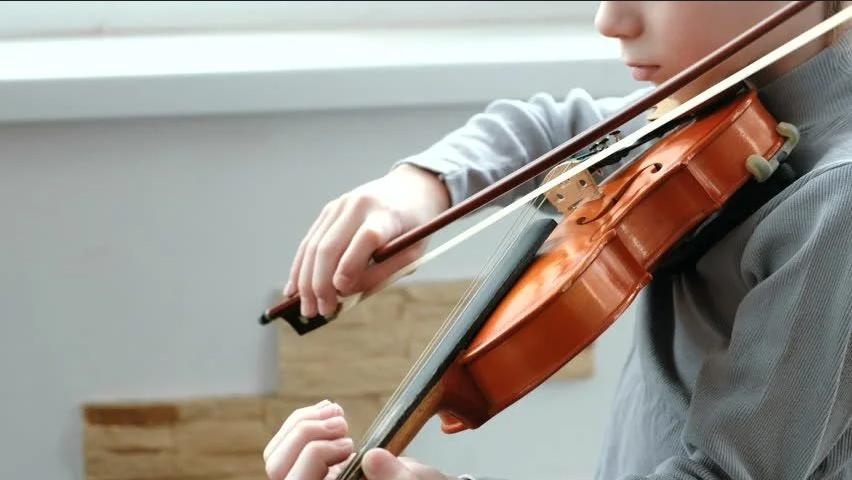 My brother played the violin. Play the Violin. Playing the Violin. Playing the Violin картинка. A boy playing the Violin.