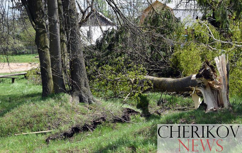 Майская гроза в Черикове: штормовой ветер валил деревья и сносил крыши. Фото