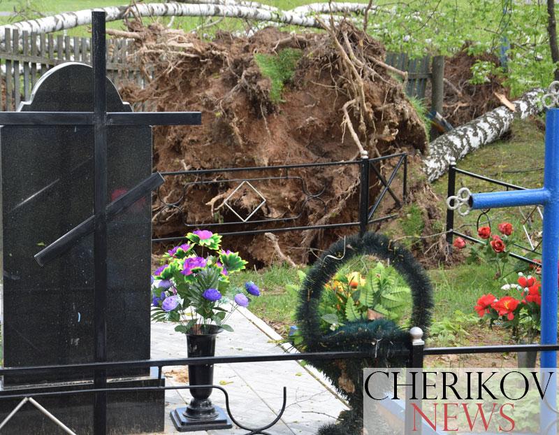 Майская гроза в Черикове: штормовой ветер валил деревья и сносил крыши. Фото