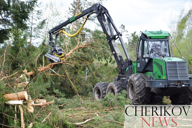 В Могилевской области пройдет совещание по вопросам устранения последствий буреломов