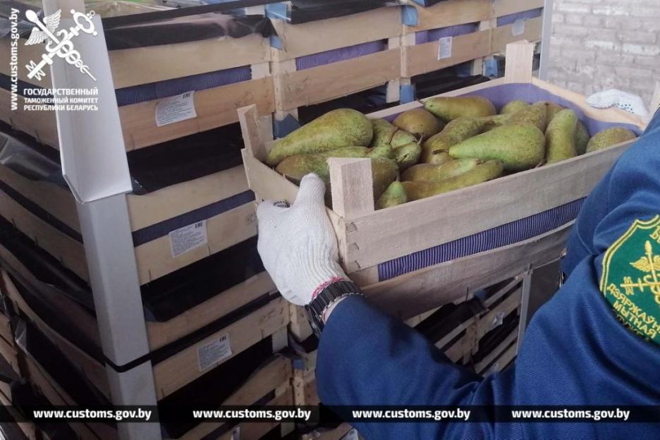 Могилевские таможенники пресекли незаконное перемещение более 38 тонн груш. Видео