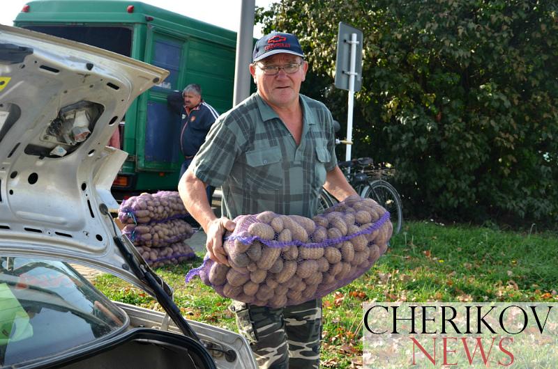 Когда на Чериковщине  стартуют ярмарки?