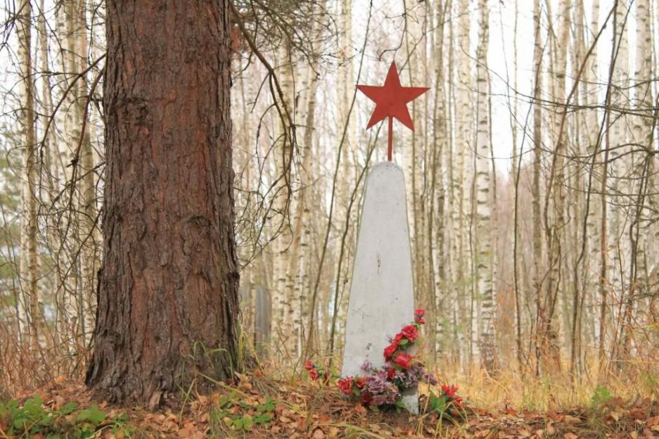 Родственников погибшего в Чаусском районе воина Ивана Михневича, чьи останки были обнаружены «Виккру», просит откликнуться райисполком